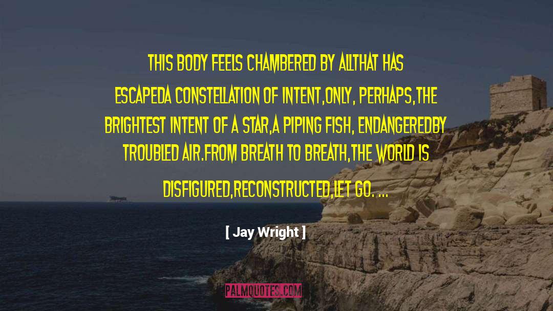 Jay Wright Quotes: This body feels chambered by