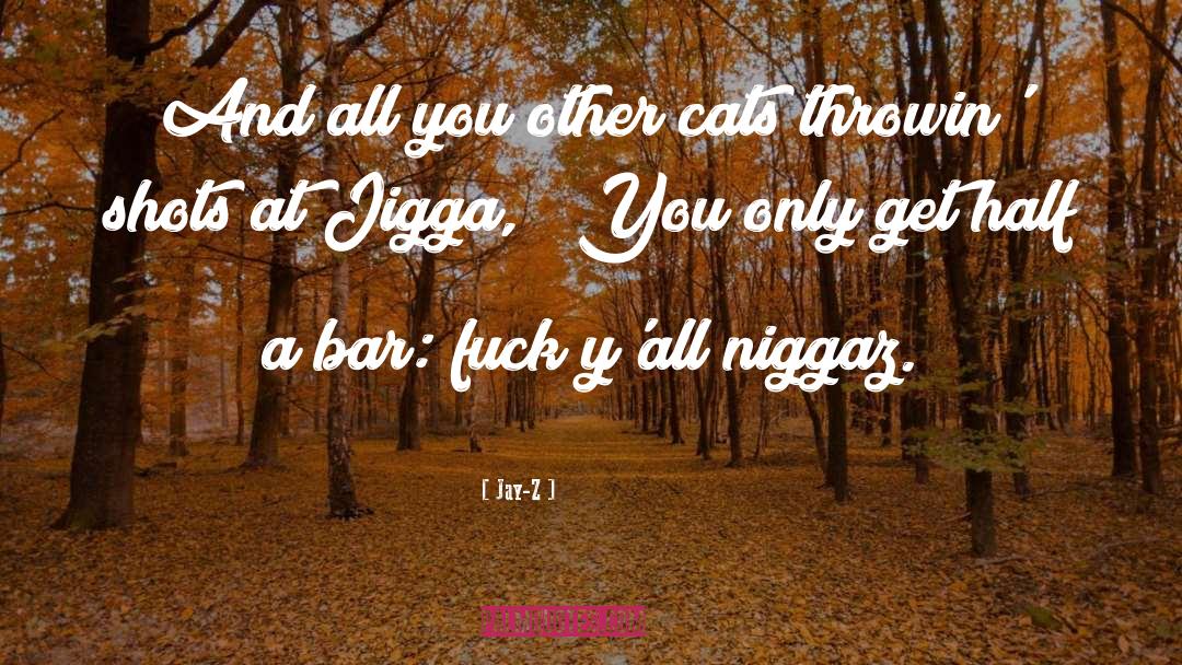 Jay-Z Quotes: And all you other cats