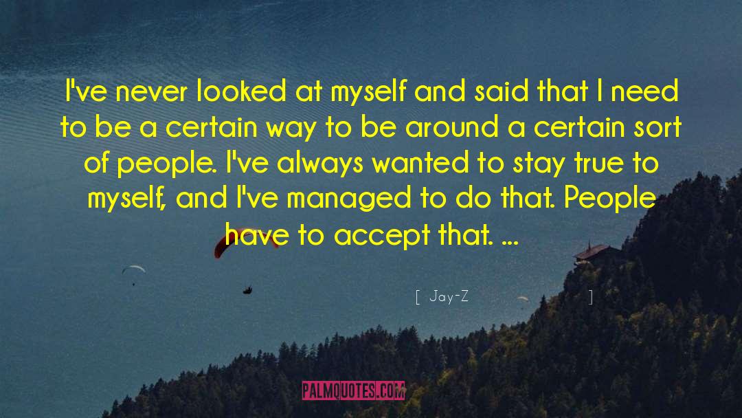 Jay-Z Quotes: I've never looked at myself