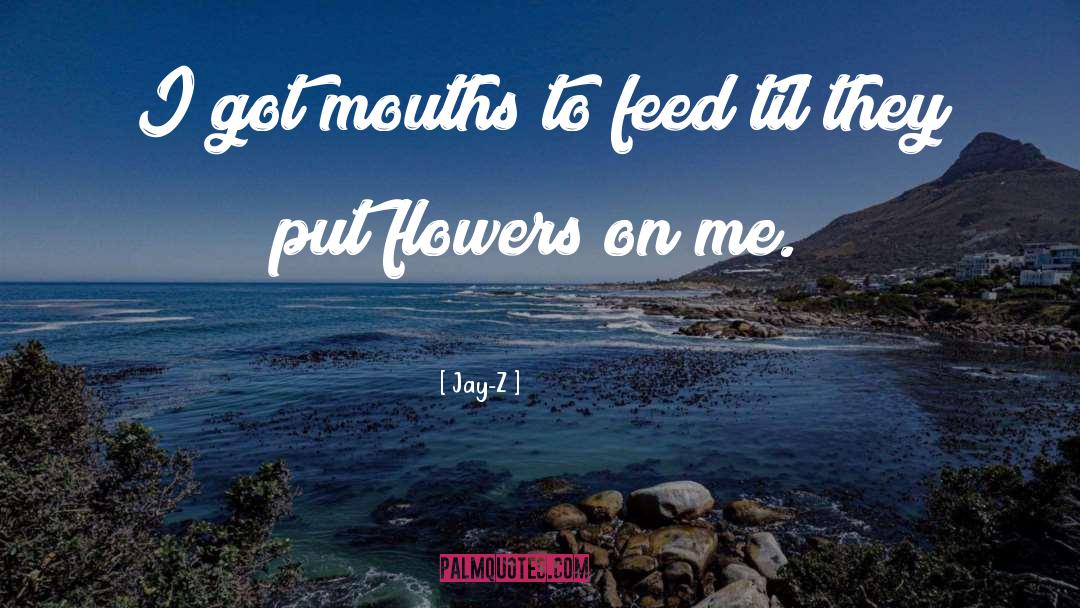 Jay-Z Quotes: I got mouths to feed