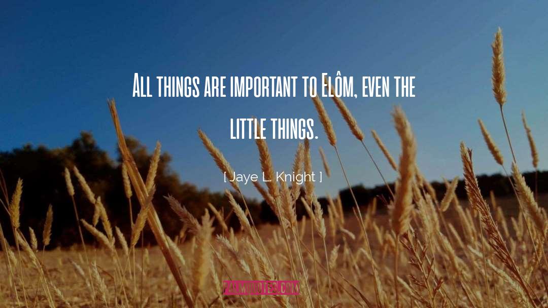 Jaye L. Knight Quotes: All things are important to