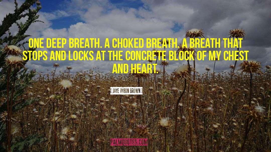 Jaye Robin Brown Quotes: One deep breath. A choked