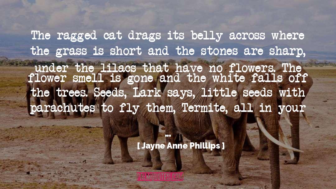 Jayne Anne Phillips Quotes: The ragged cat drags its