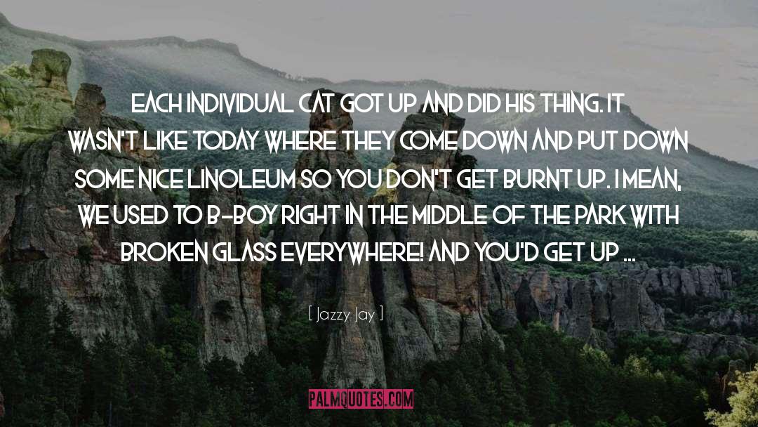 Jazzy Jay Quotes: Each individual cat got up