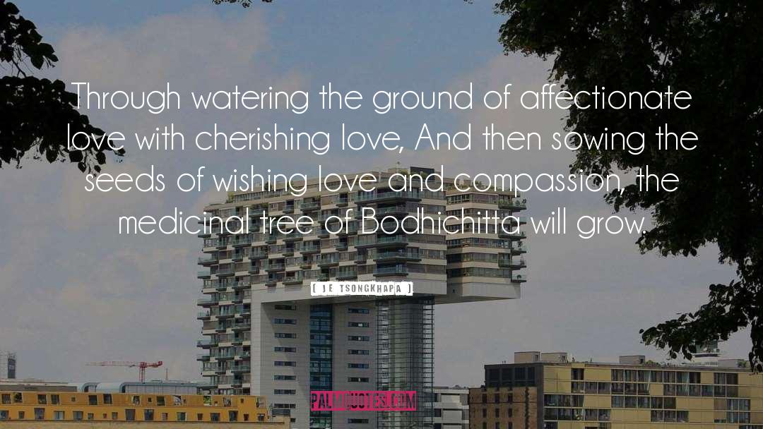 Je Tsongkhapa Quotes: Through watering the ground of