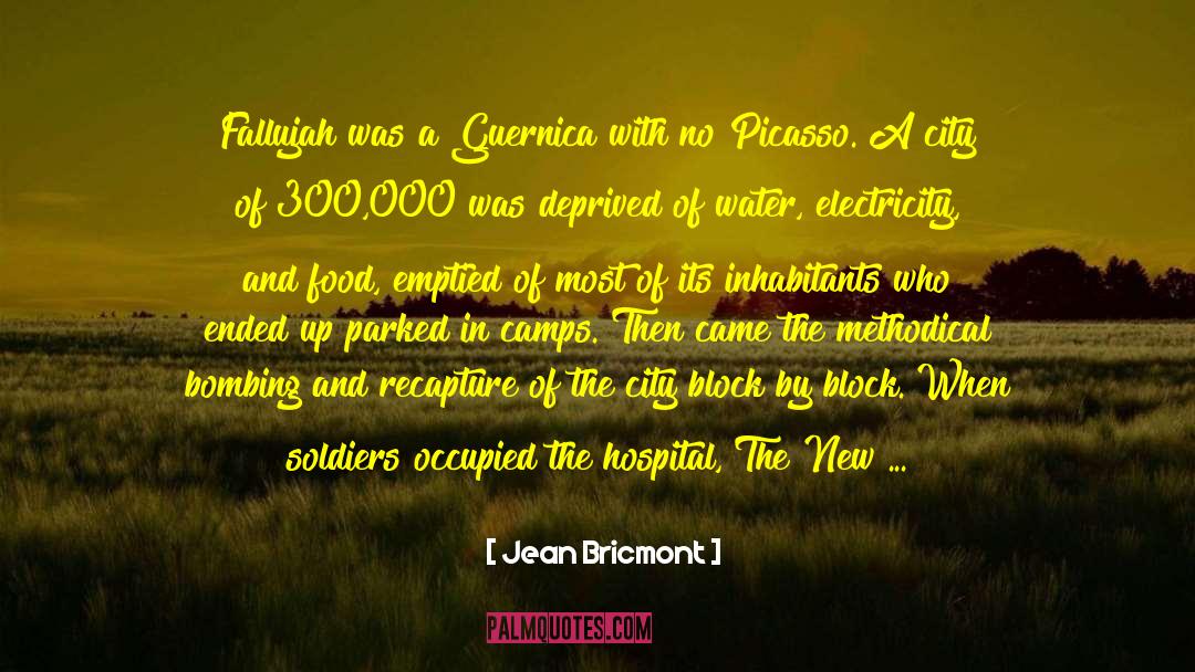 Jean Bricmont Quotes: Fallujah was a Guernica with