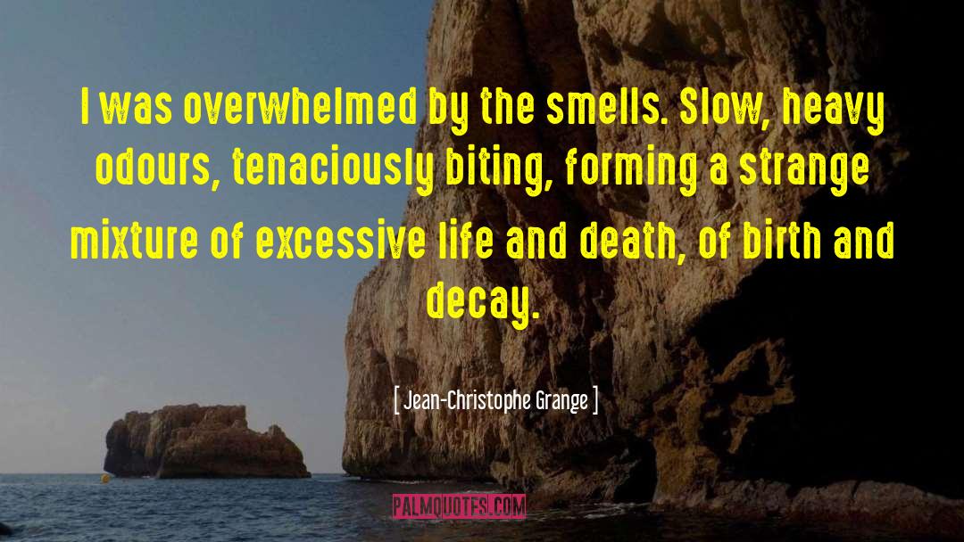 Jean-Christophe Grange Quotes: I was overwhelmed by the
