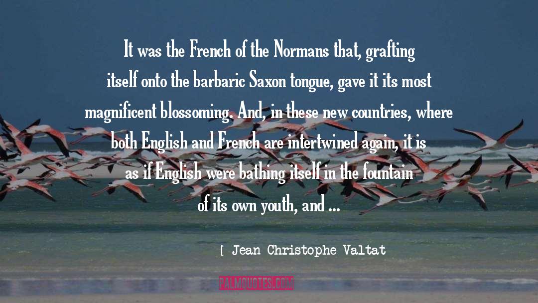 Jean-Christophe Valtat Quotes: It was the French of