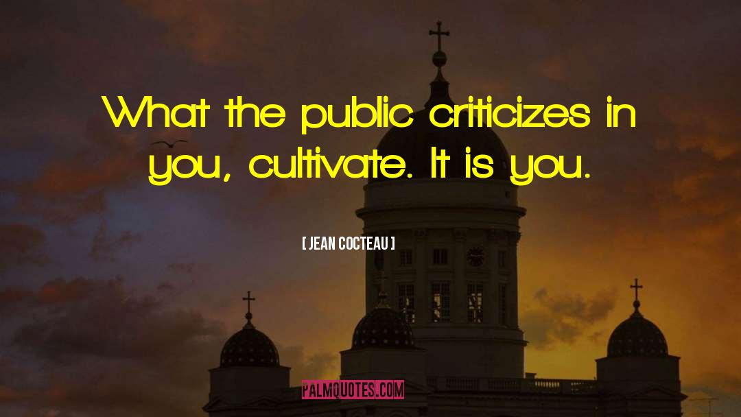 Jean Cocteau Quotes: What the public criticizes in