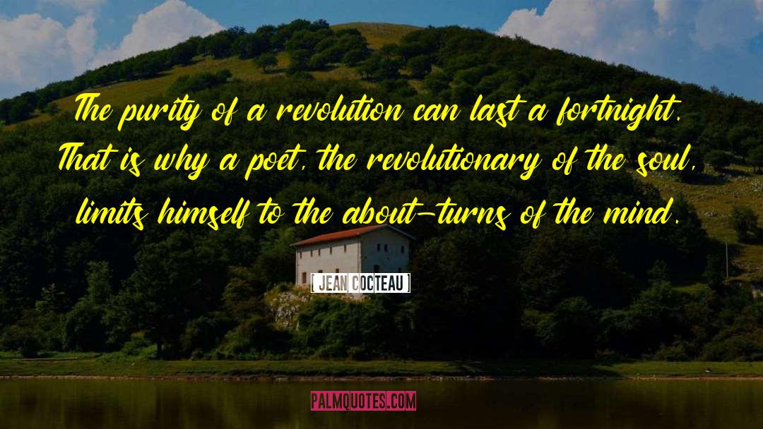 Jean Cocteau Quotes: The purity of a revolution