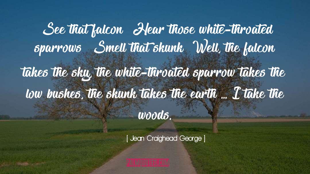 Jean Craighead George Quotes: See that falcon? Hear those