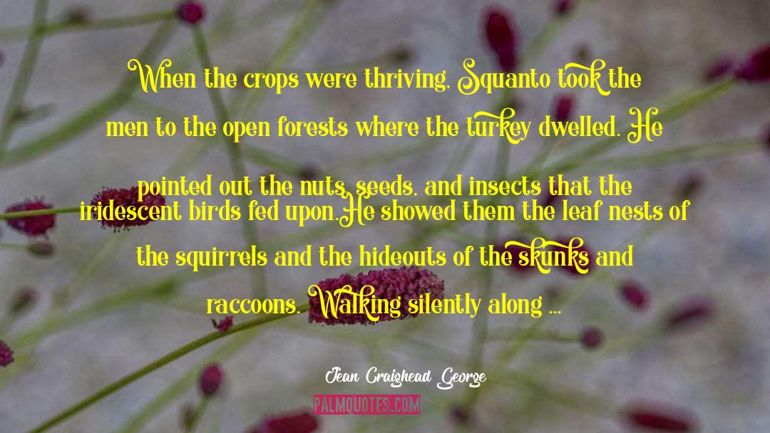 Jean Craighead George Quotes: When the crops were thriving,