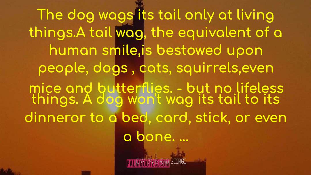 Jean Craighead George Quotes: The dog wags its tail