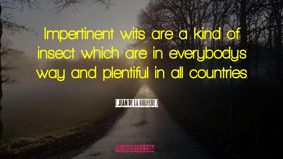 Jean De La Bruyere Quotes: Impertinent wits are a kind