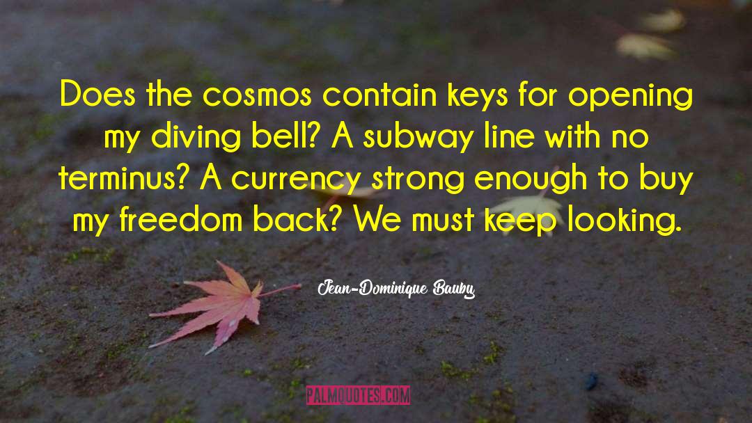 Jean-Dominique Bauby Quotes: Does the cosmos contain keys