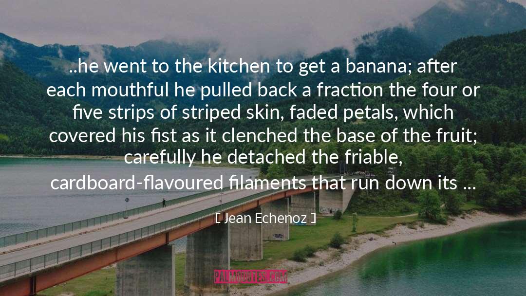 Jean Echenoz Quotes: ..he went to the kitchen
