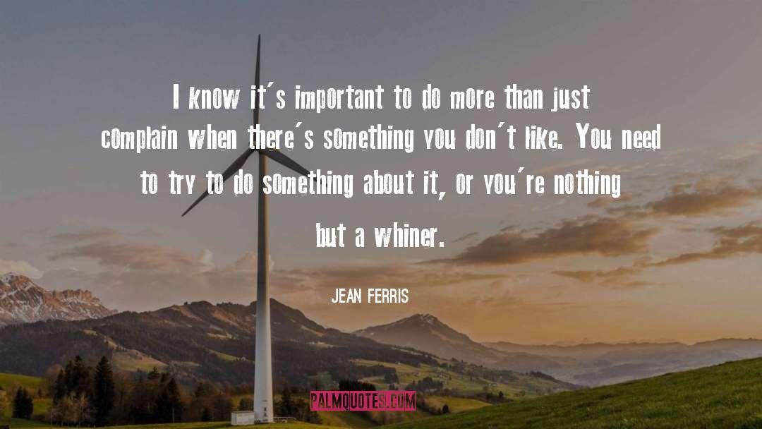 Jean Ferris Quotes: I know it's important to