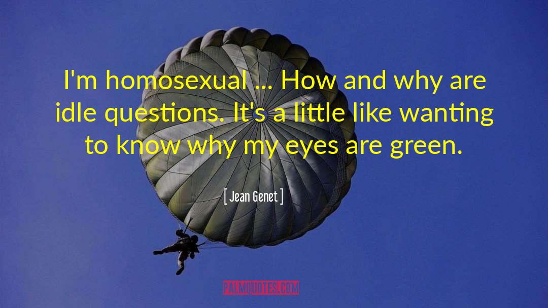 Jean Genet Quotes: I'm homosexual ... How and