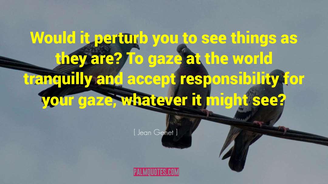 Jean Genet Quotes: Would it perturb you to