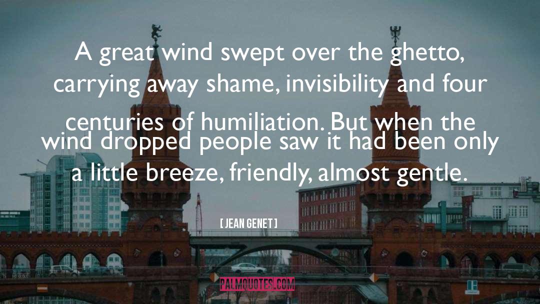 Jean Genet Quotes: A great wind swept over