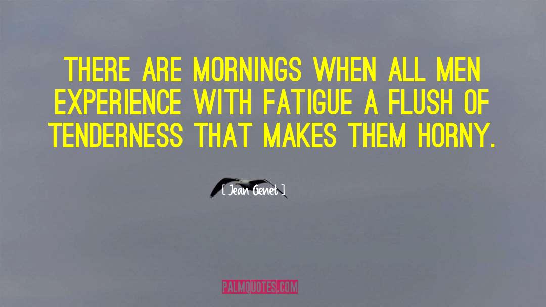 Jean Genet Quotes: There are mornings when all