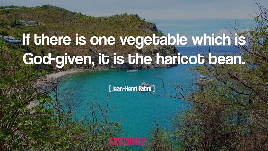 Jean-Henri Fabre Quotes: If there is one vegetable