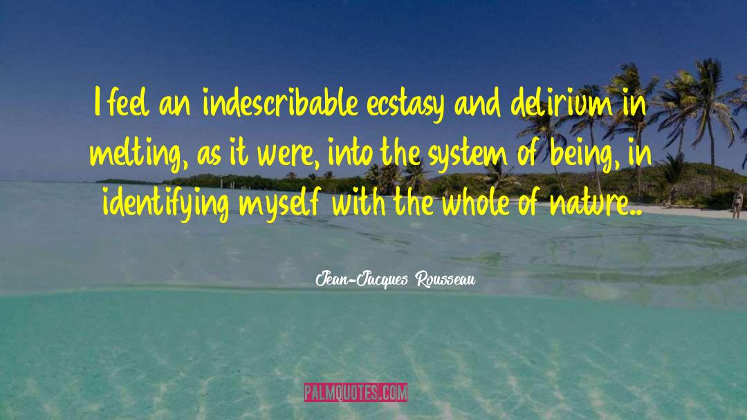 Jean-Jacques Rousseau Quotes: I feel an indescribable ecstasy