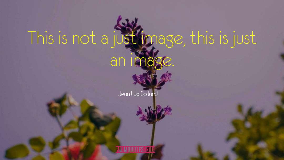 Jean-Luc Godard Quotes: This is not a just