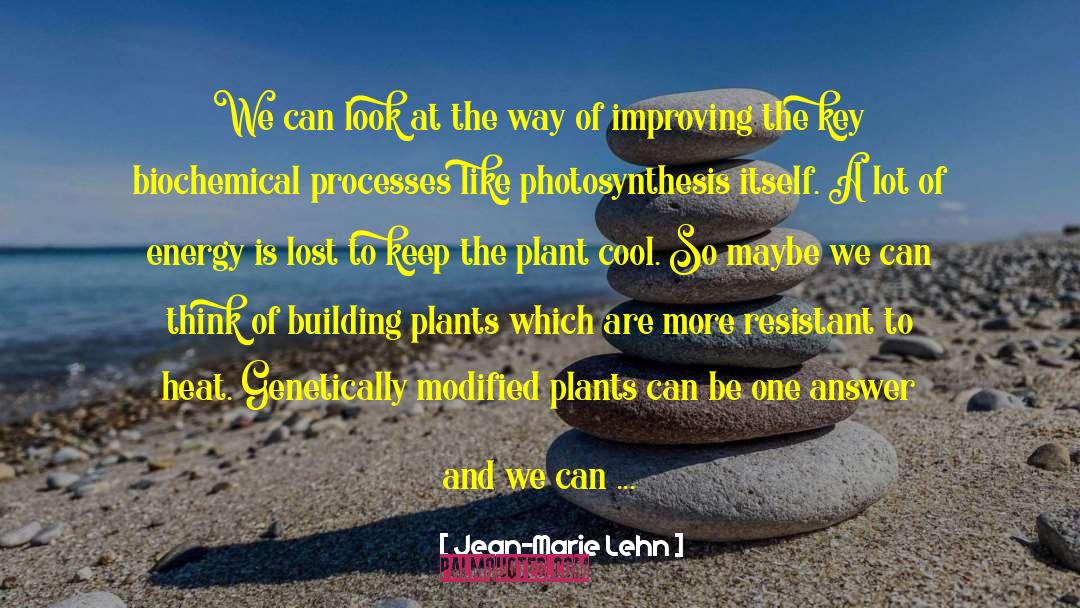 Jean-Marie Lehn Quotes: We can look at the