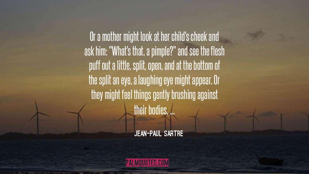 Jean-Paul Sartre Quotes: Or a mother might look