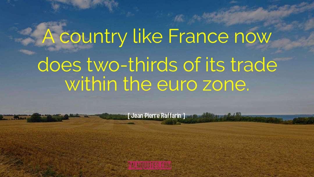 Jean-Pierre Raffarin Quotes: A country like France now