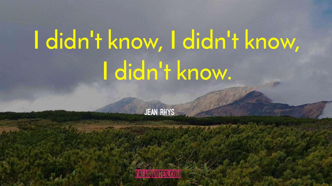 Jean Rhys Quotes: I didn't know, I didn't