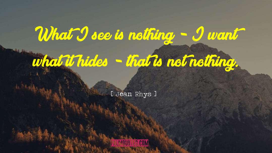 Jean Rhys Quotes: What I see is nothing