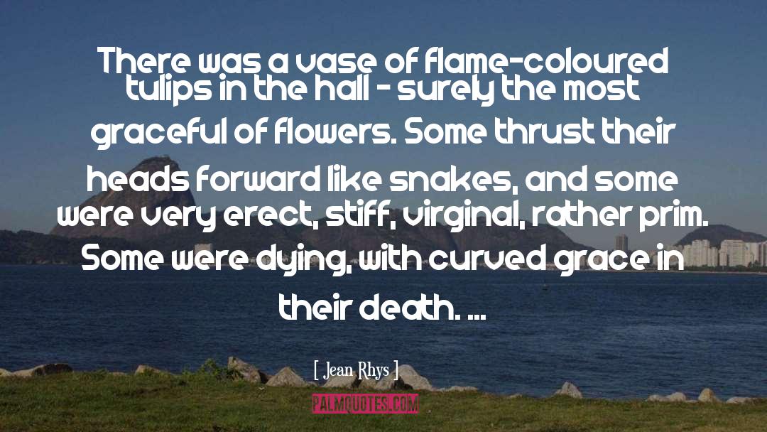 Jean Rhys Quotes: There was a vase of