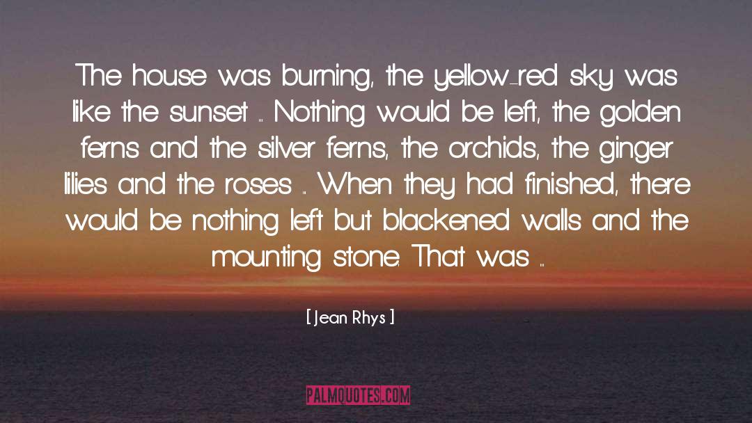 Jean Rhys Quotes: The house was burning, the