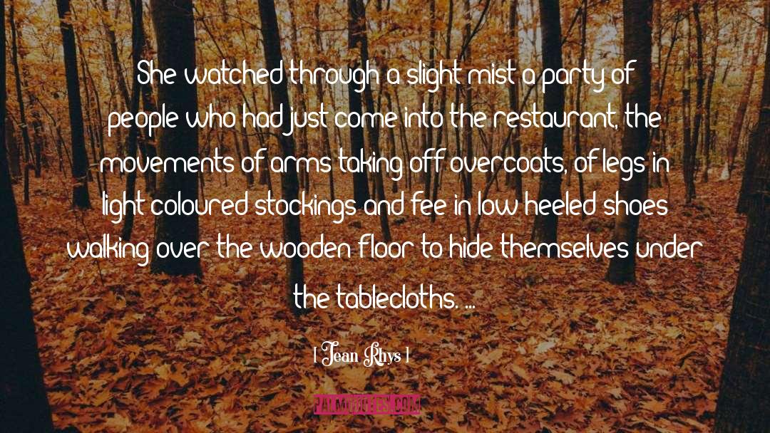 Jean Rhys Quotes: She watched through a slight