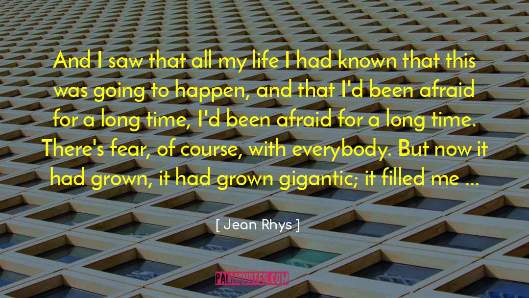 Jean Rhys Quotes: And I saw that all