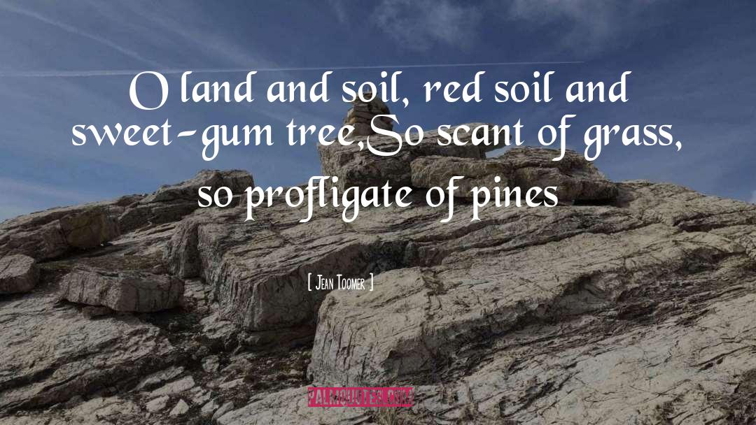 Jean Toomer Quotes: O land and soil, red
