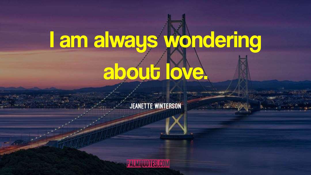 Jeanette Winterson Quotes: I am always wondering about