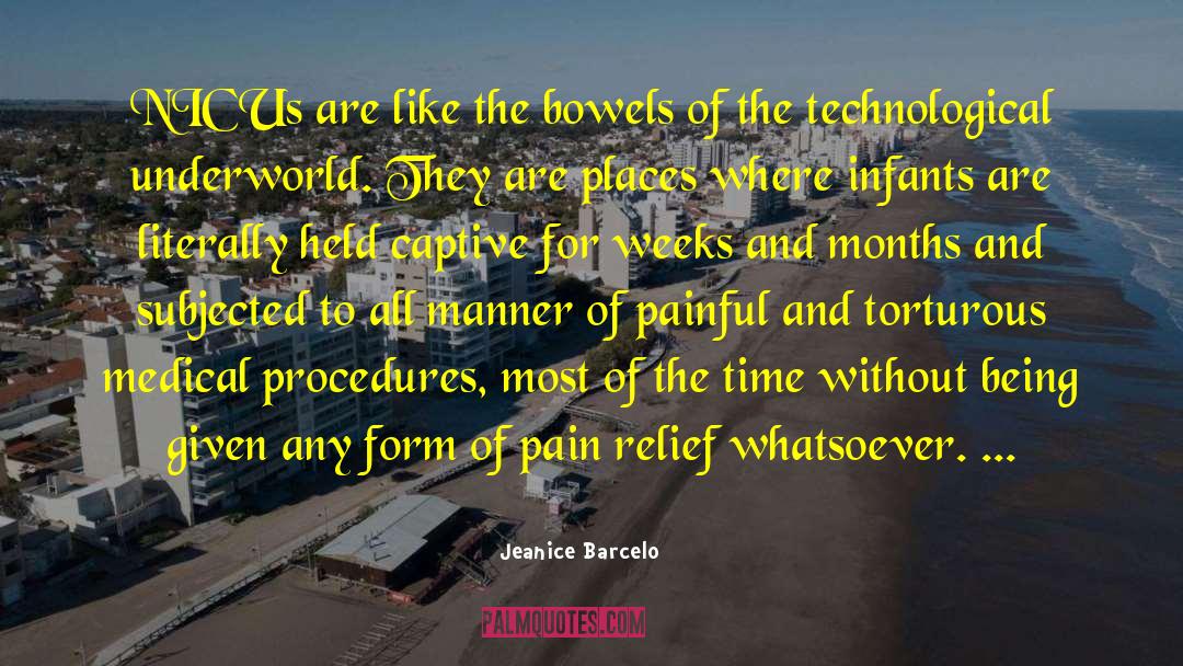 Jeanice Barcelo Quotes: NICUs are like the bowels