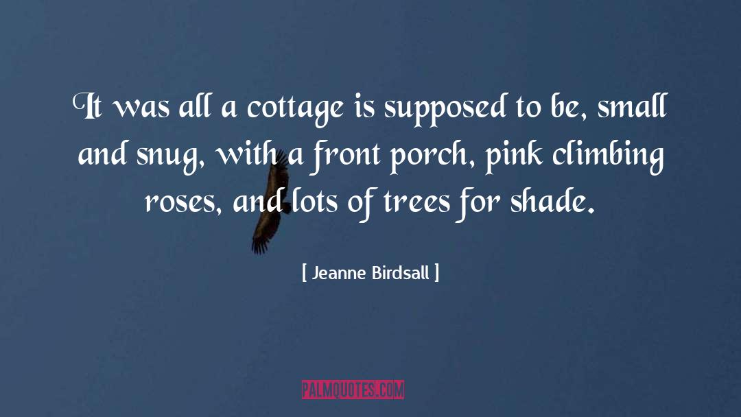 Jeanne Birdsall Quotes: It was all a cottage