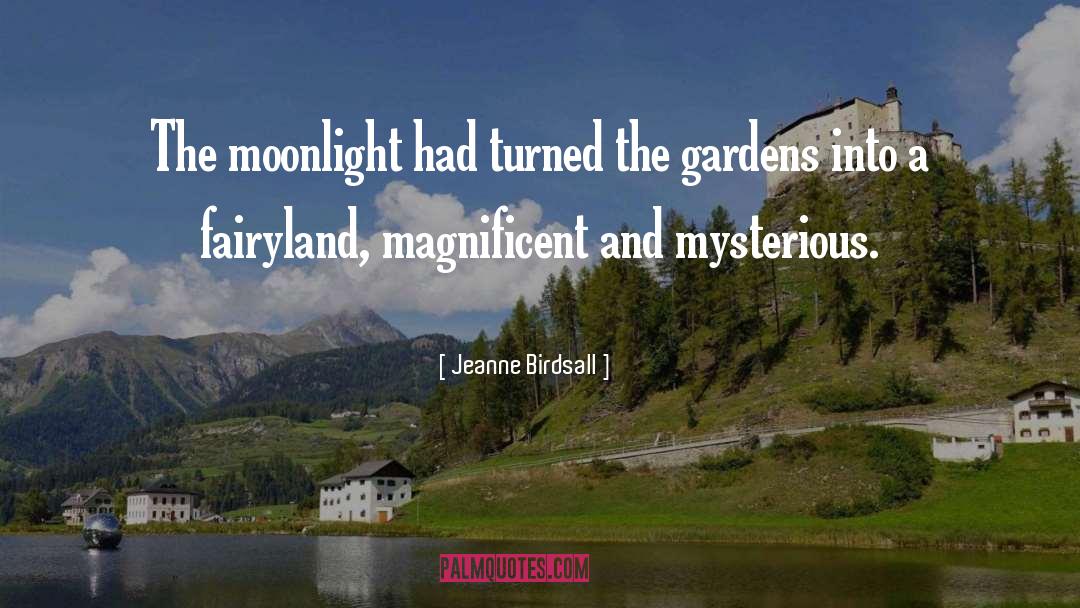 Jeanne Birdsall Quotes: The moonlight had turned the