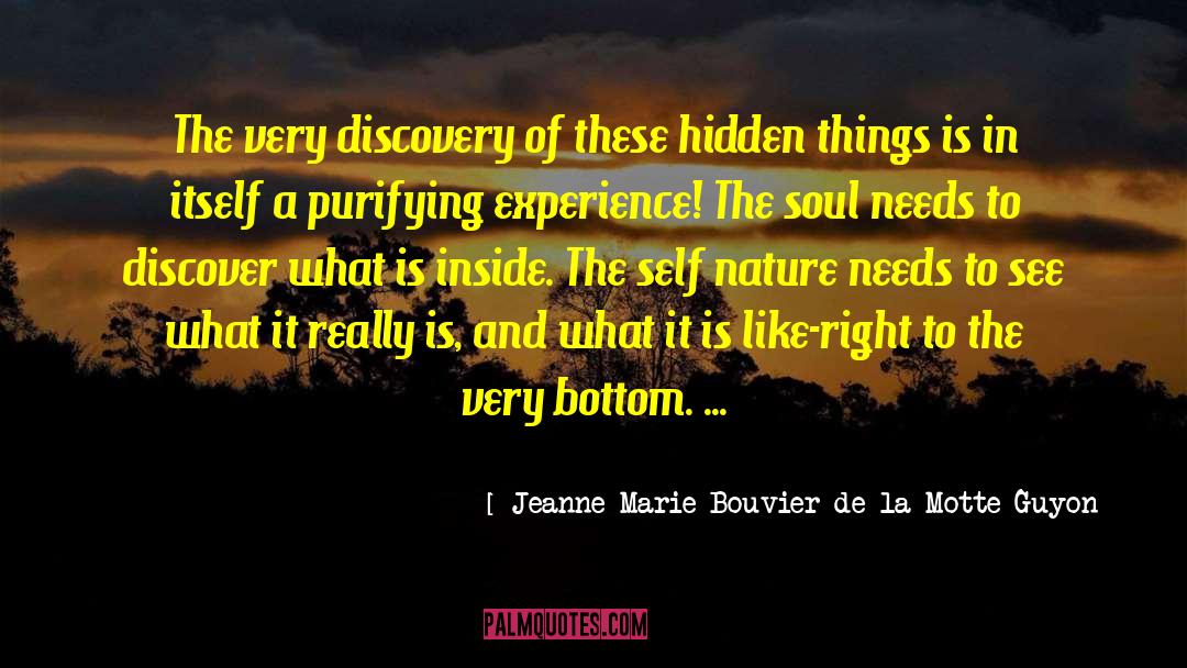 Jeanne Marie Bouvier De La Motte Guyon Quotes: The very discovery of these