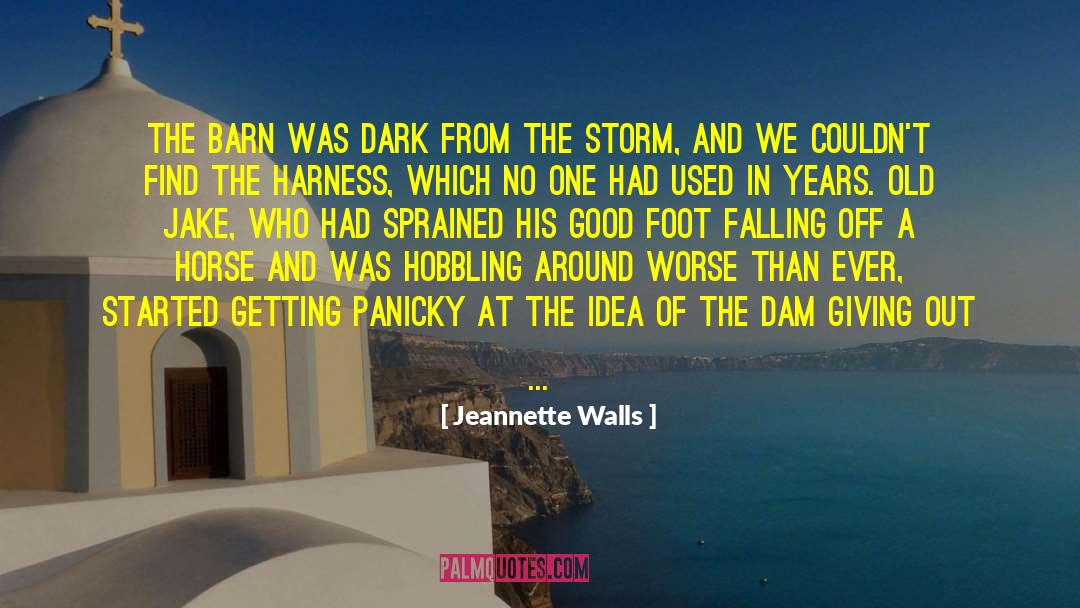 Jeannette Walls Quotes: The barn was dark from