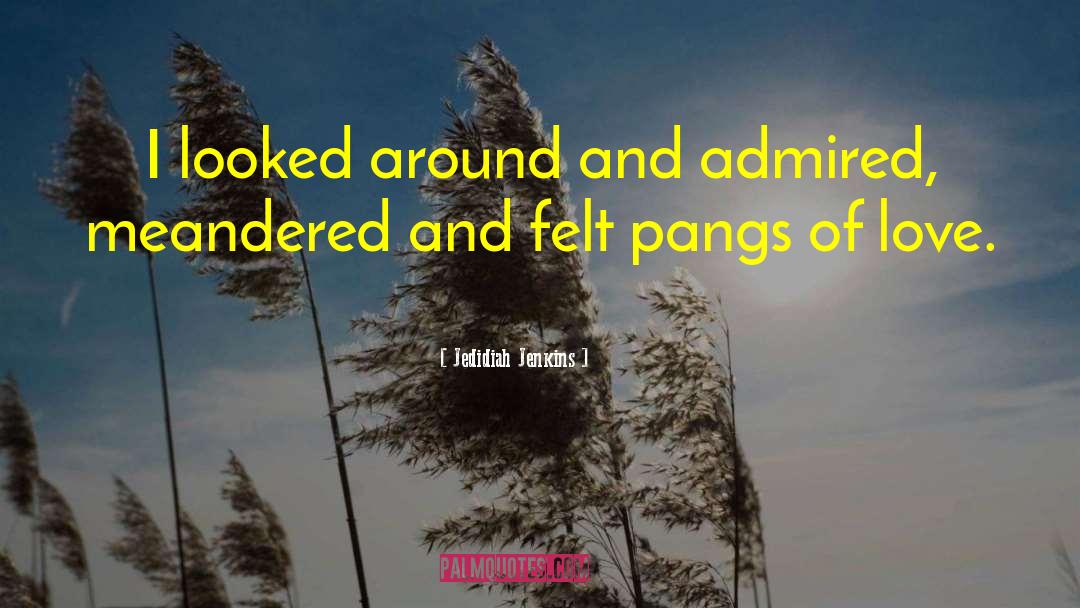 Jedidiah Jenkins Quotes: I looked around and admired,