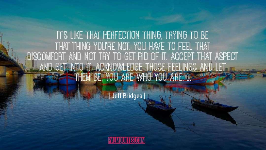 Jeff Bridges Quotes: It's like that perfection thing,