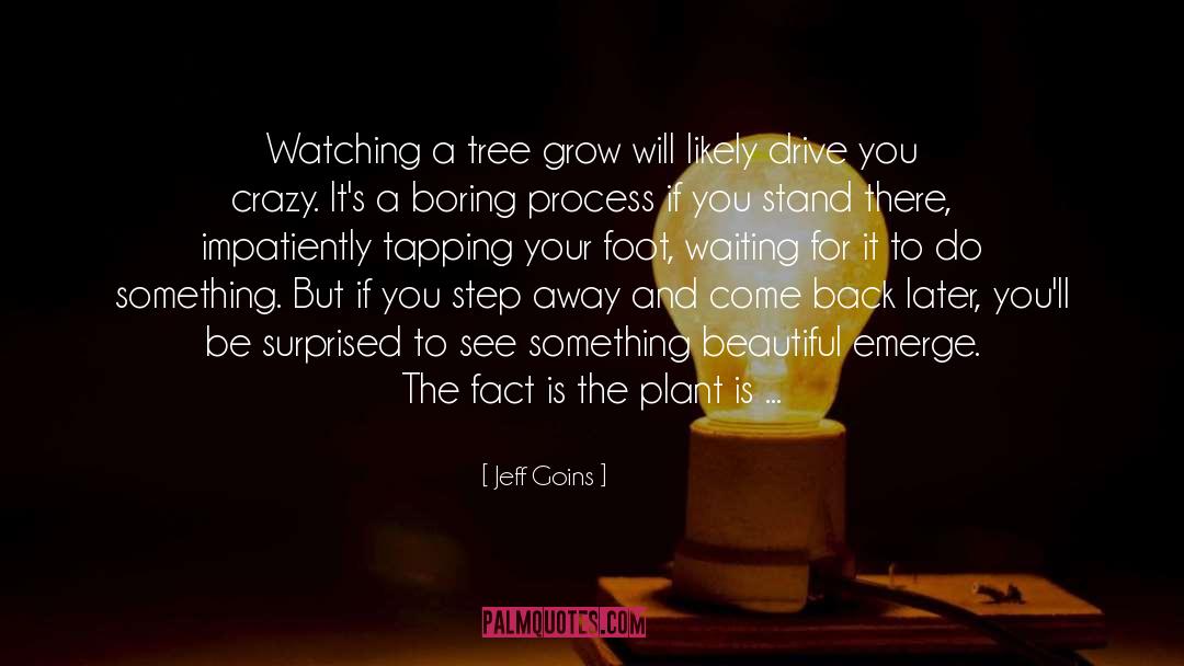 Jeff Goins Quotes: Watching a tree grow will