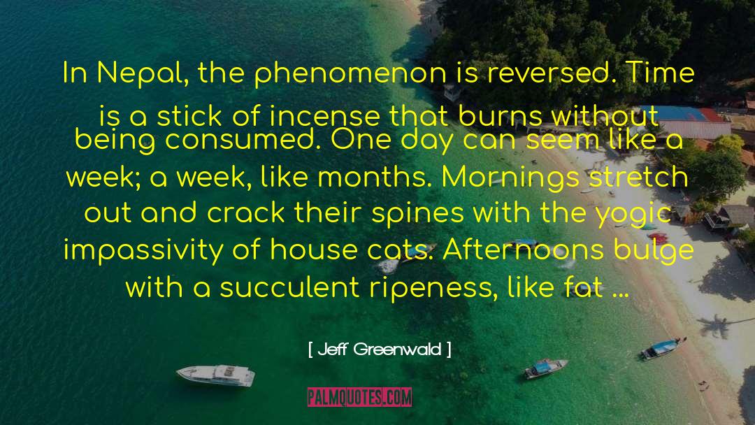 Jeff Greenwald Quotes: In Nepal, the phenomenon is