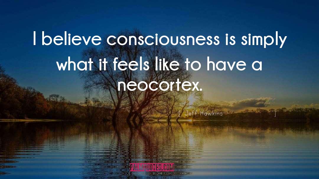 Jeff Hawkins Quotes: I believe consciousness is simply