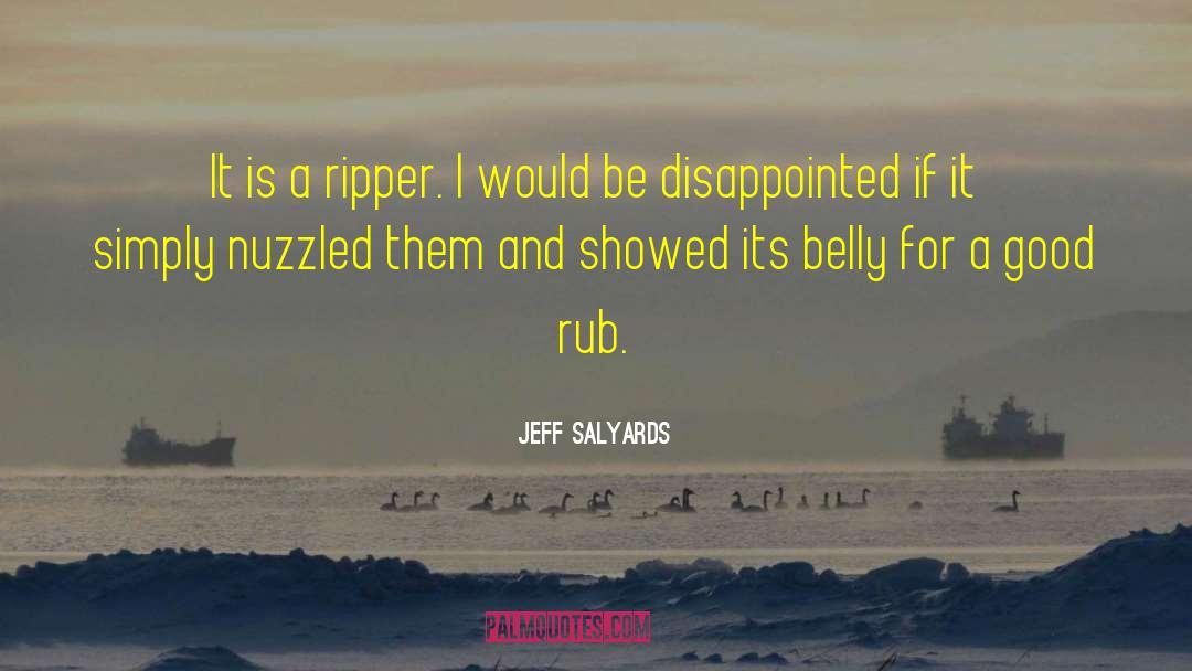 Jeff Salyards Quotes: It is a ripper. I